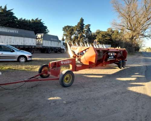 Maicero Mainero de 11 S a 52 cm