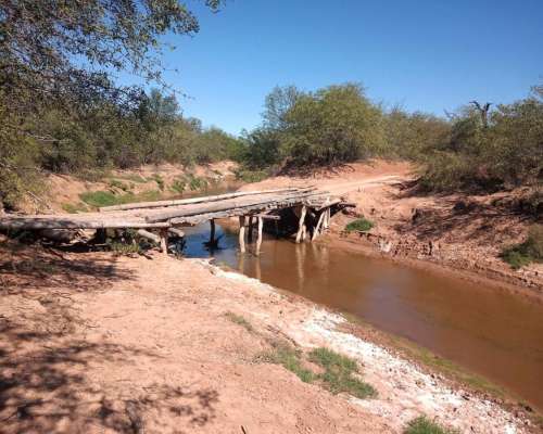 Dueño Vende 7.000has Ganaderas a 100km de las Lajitas, Salta