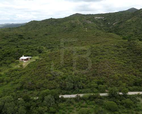 Terreno en Venta 1 Hectárea, Valle Buena Esperanza, Alta GRA
