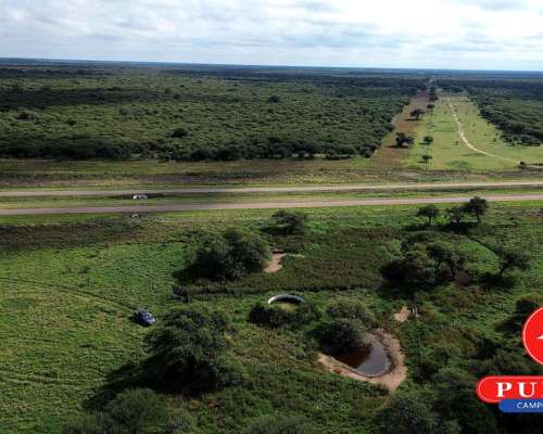 En Venta Campo Ganadero