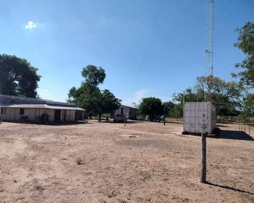 Campo Ganadero en Juan Jose Castelli