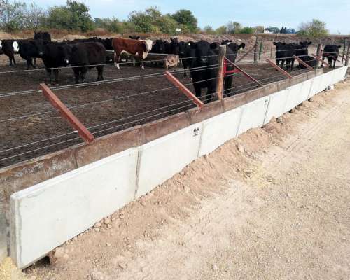 Comedero para Feedlot de Hormigón Armado