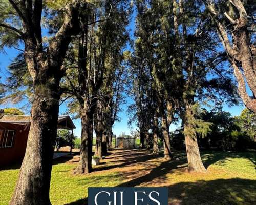 Campo 114 Hectáreas Agrícolas C/ Excelentes Mejoras.