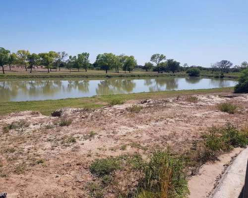 Clodomira, Banda, Santiago del Estero - 4.330 Ha