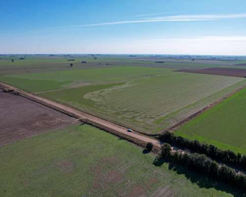 54 Ha en Acebal Campo 100% Agrícola