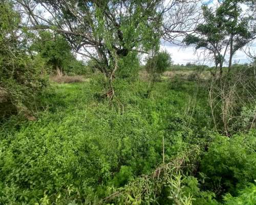 10 Hectareas de Chacra
