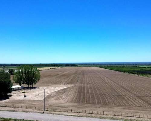 Finca en Venta 30 Ha / las Pintadas - Tunuyán