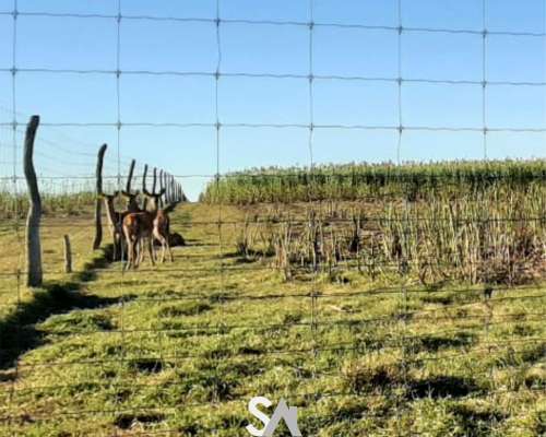 Vende: Espectacular Coto de Caza en la Pampa