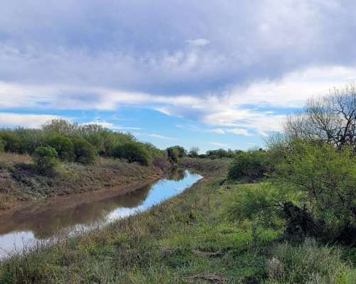 35 HA. Ganaderas - Equinos, Stud. Dpto. Colón