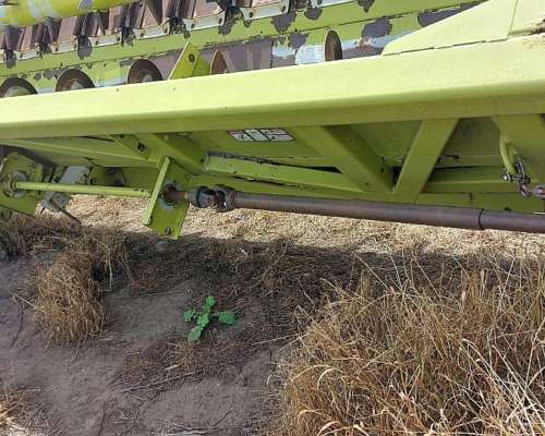 Girasolero Maizco Mxiii 16 a 70 cm – Buen Estado General