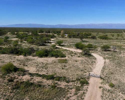 Campo Ganadero de 5.200 Hectáreas -san Luis