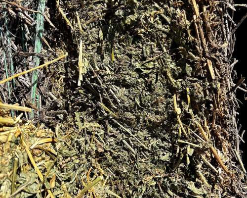 Rollos de Alfalfa Cutteados