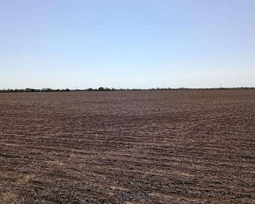 30 Ha Agricolas Santa Clara de Buena Vista