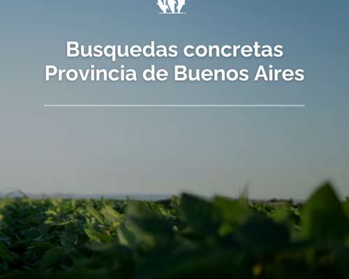 Busqueda Activa - Campos Oeste Provincia Bs.as