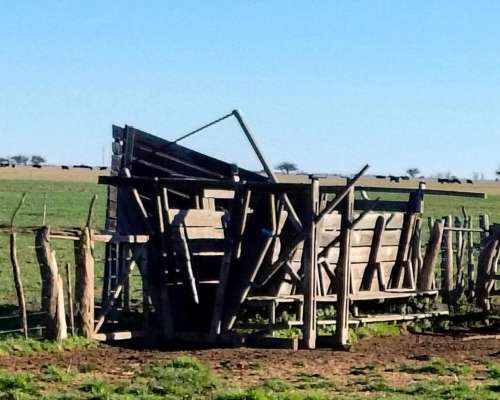200ha Agrícola-ganaderas en General San Martin
