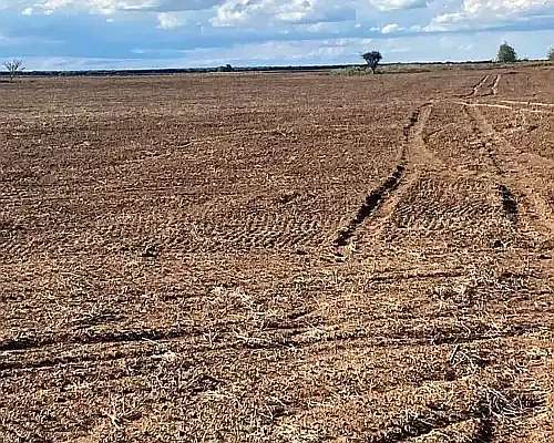 Vendo 300 Has Agrícolas al SUR de Fraga, San Luis