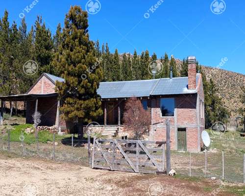 Campo en Venta de 4394 Has Comallo, Rio Negro