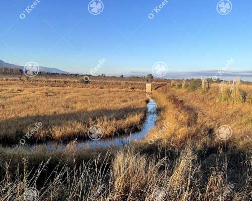 Campo en Venta de 781 Has, Cortaderas, San Luis. Campo Mixto
