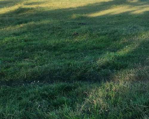 302 Has Ayacucho Pcia BS AS