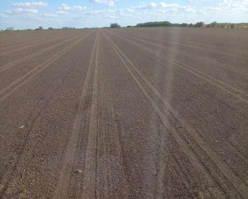 Rastron Nivelador LF - 5 Modelos Robustos y Personalizables