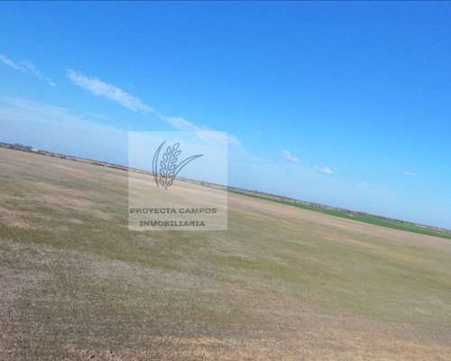 Venta - Campo Agricola - Zona de Arroyo Algodón- CBA