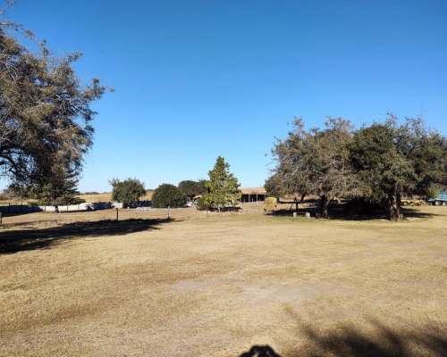 Alquiler o Venta Ganadero Potrerillo (san Luis) 180 Has