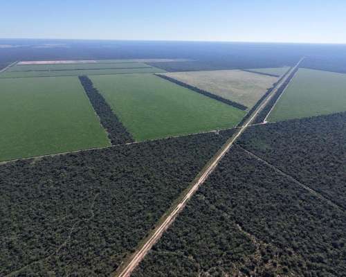 Las Tinajas, Moreno, Santiago del Estero - 2.123 Ha