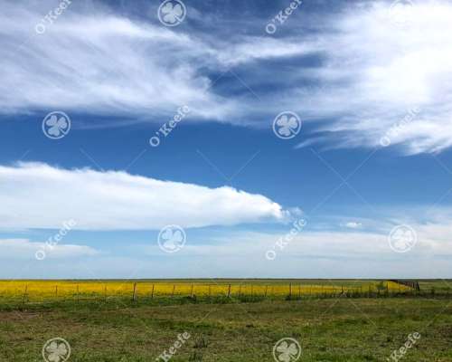 Campo en Venta de 13.747 Has. Ibicuy, Entre Rios