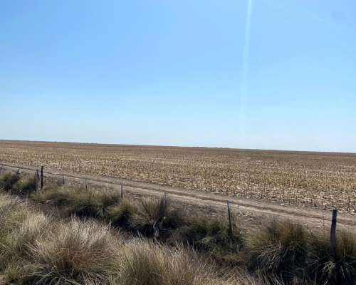Campo Agrícola con Escrituras en Bandera