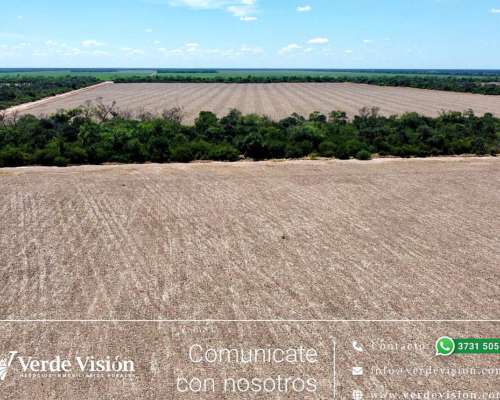 901 Has en Venta - Pcia del Chaco, Depto. Guemes