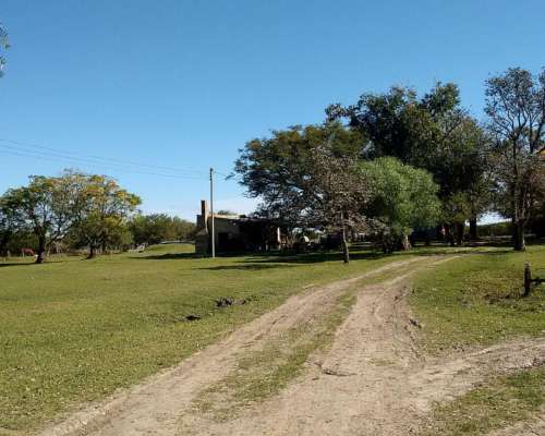 Arriendo 135 Has de Monte Natural Sobre Asfalto