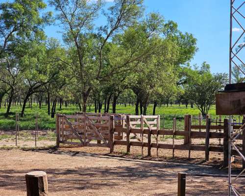 5000 Has. Mixtas Cercanas a la Ciudad de Santiago.