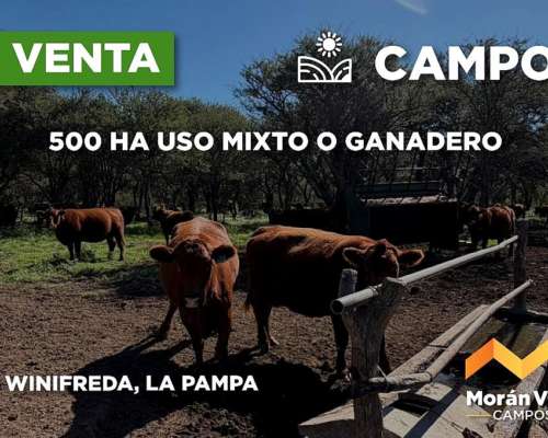 500 Ha en Winifreda