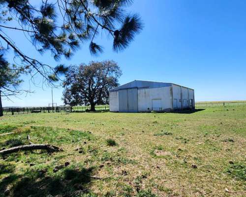 Se Alquila Campo Agricola - las Armas. Ayacucho - Ruta N°2