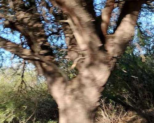 780 Hectareas a 5 km de Añatuya Pegadas al Canal Monte Facil