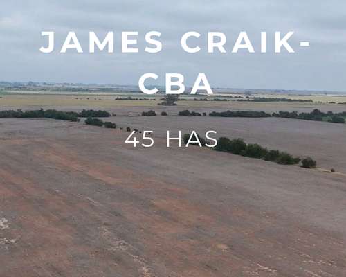 Venta - 45 Has Agricolas.