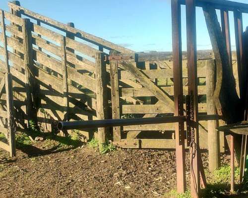 Venta Campo 302 Ha Ganaderas Labarden BS AS