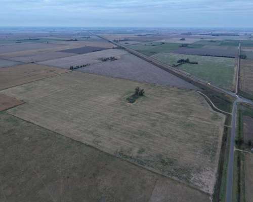 40 HA. Suelo Clase 1 Sobre Ruta. San Genaro (santa FE)