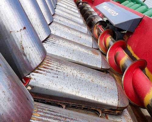 Mainero 2008 - 14 a 52 CM. año 2018