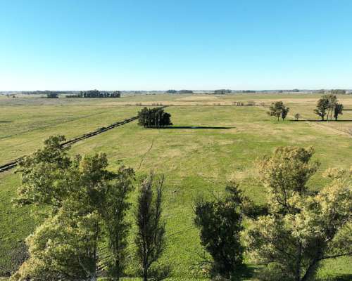 100 Has. Campo en las Heras