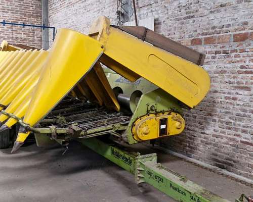 Muy Buen Maicero Allioschi