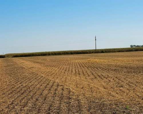 33 Ha SE Venden en Zona de Pilar( Santa FE)