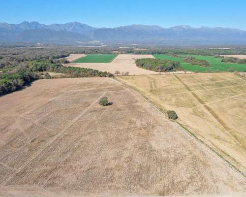 Pcia. de Salta - el Carril 52 Has