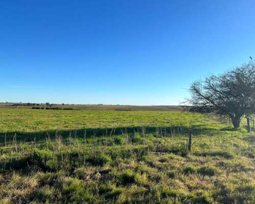 Venta de Campo en Uruguay. Estancia en Florida