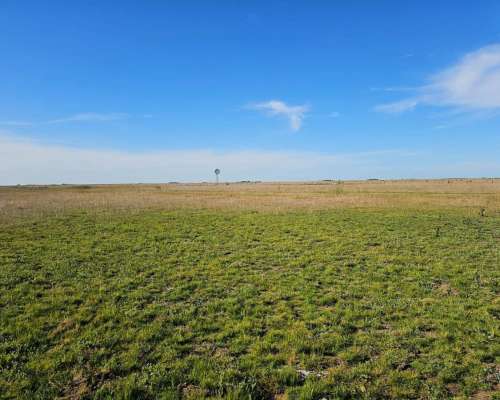 Campo Venta 120 Ha Ganaderas Saladillo