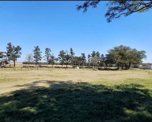 Inmobiliaria Pousa Vende 4500 Has Mixtas (zona Río Cuarto)