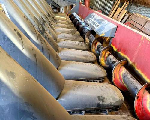 Maicero Mainero Modelo 2008 de 13 a 52