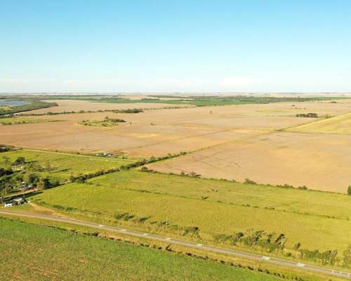 Washington, Río Cuarto, Córdoba - 11 Ha