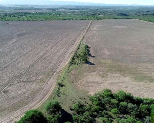 Saladillo, Pringles, San Luis, Argentina