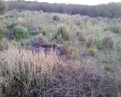 Vendo Campo Zona Inmejorable